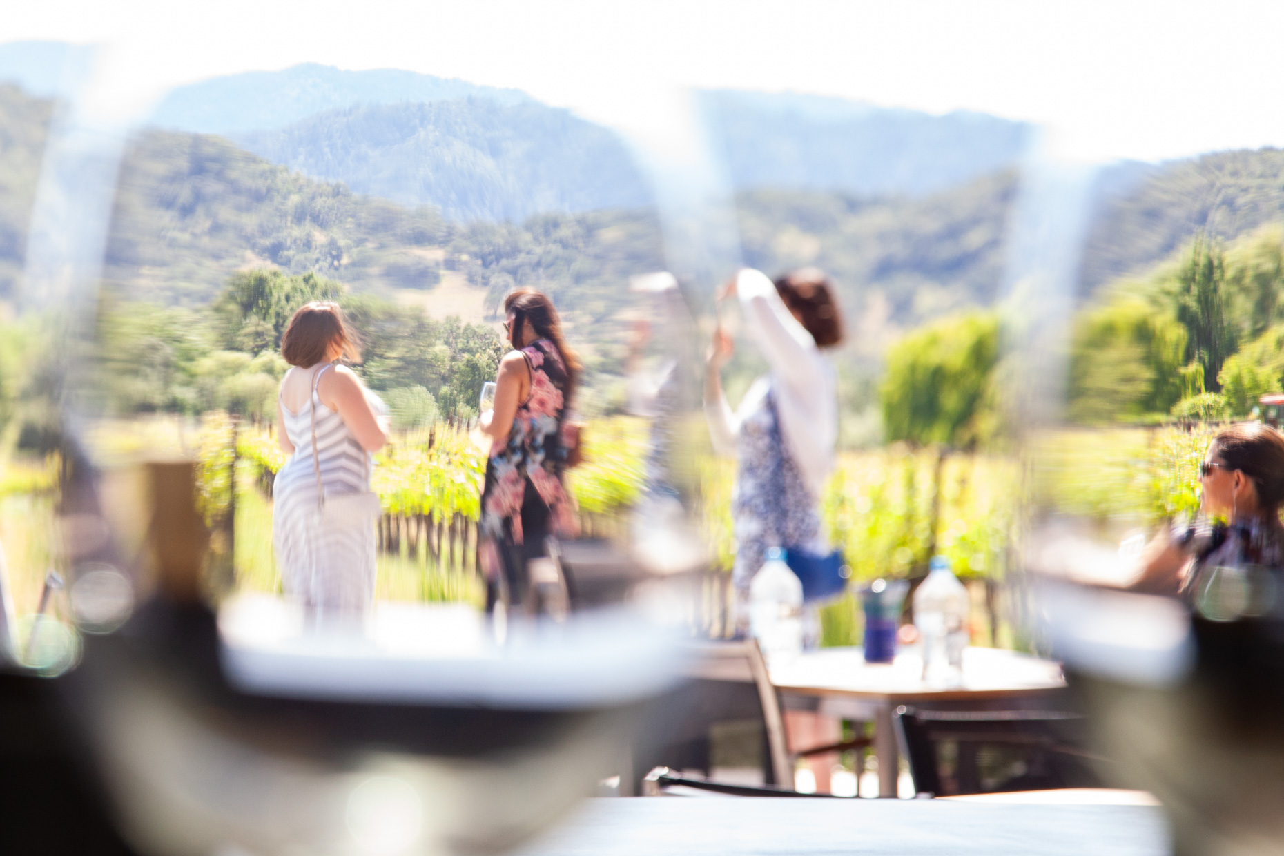 20160430_SSalvas_napa_IMG_0393