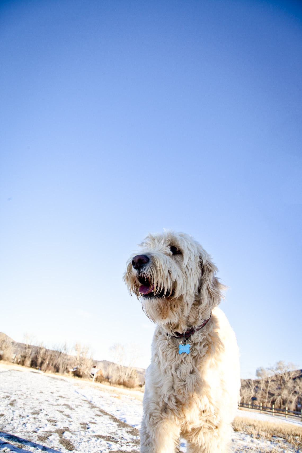 _MG_9206-Edit.jpg
